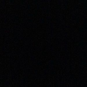 Meet your Posher, Ronald